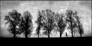 PhotoVivo Honor Mention - Ole Suszkiewicz (Denmark)  Trees And Runner