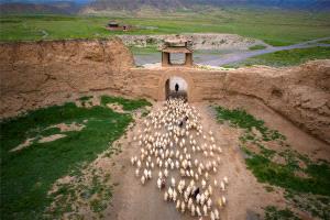 SPC Gold Medal - Jixian Shi (China)  Pastoral Beyond The Great Wall