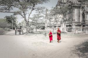 PhotoVivo Honor Mention e-certificate - Ye Li (China)  Monks
