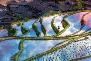 APU Honor Mention e-certificate - Aihua Cao (China)  Terraces In The Afterlight