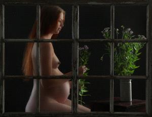 SPC Merit Award e-certificate - Jan-Thomas Stake (Sweden)  Pregnant Behind The Window