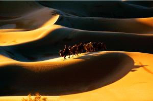 ICPE Honor Mention e-certificate - Youcang Wu (China)  The Soul Of The Desert